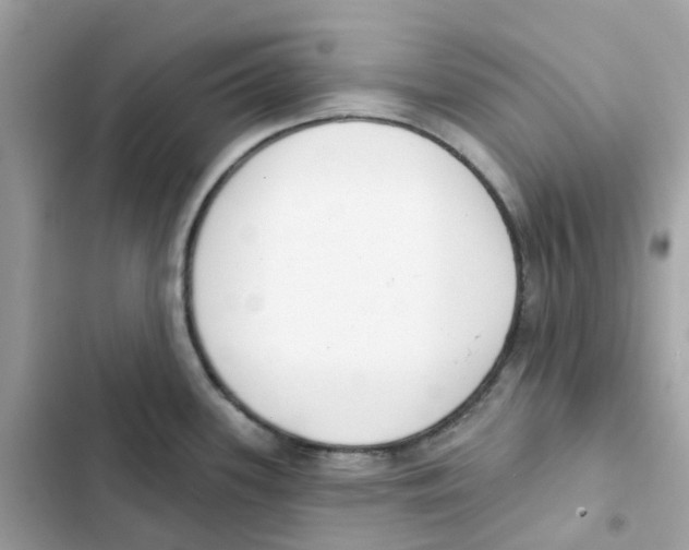 X0000102001339200808151438