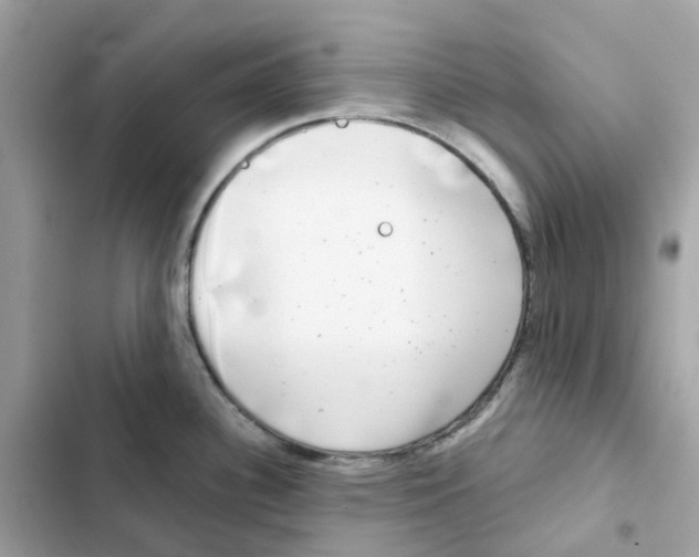 X0000102001340200808151438