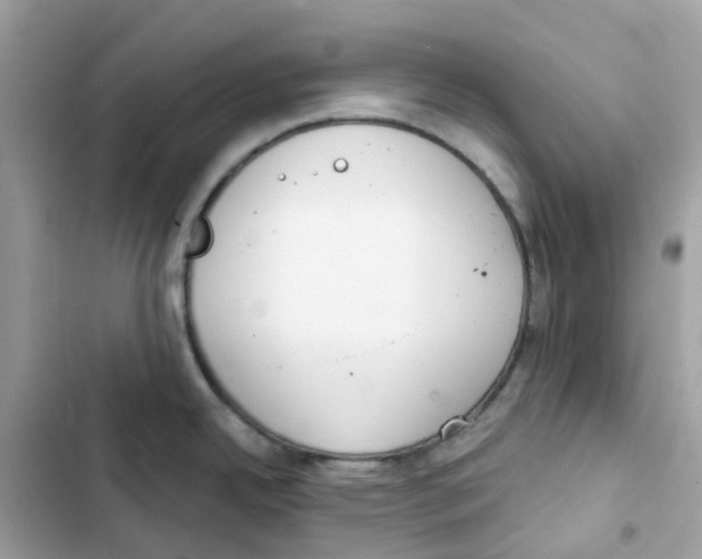 X0000102001342200808151438