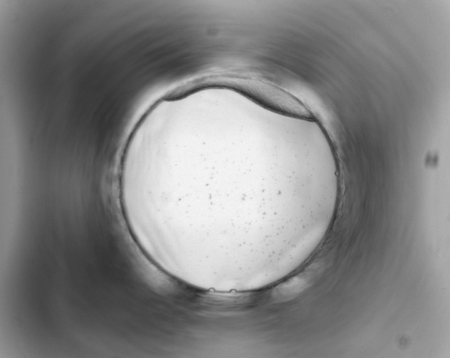 X0000102001344200808151438