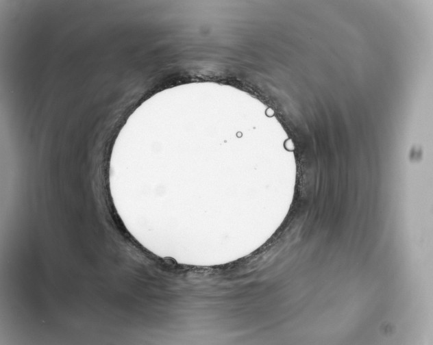 X0000102001345200808151438