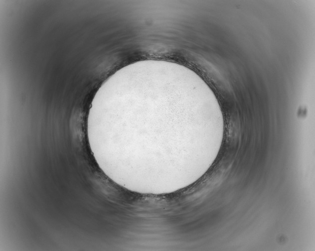 X0000102001346200808151438