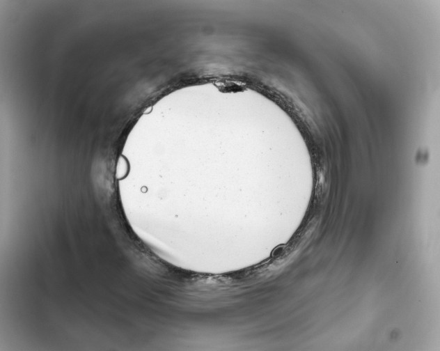 X0000102001348200808151437