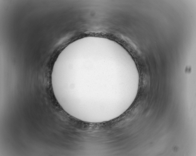 X0000102001350200808151437