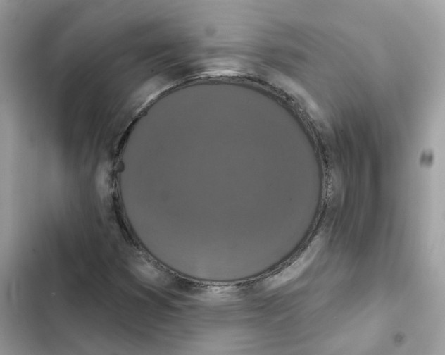 X0000102001353200808151437