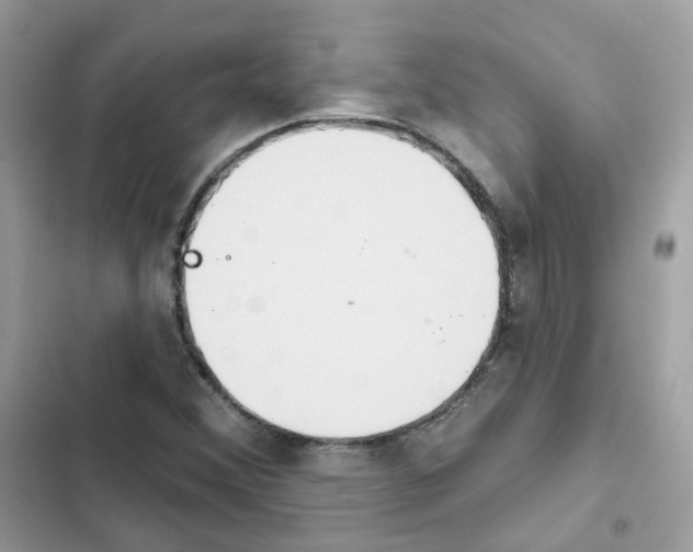 X0000102001356200808151437