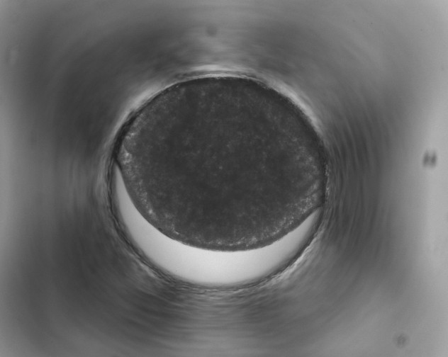 X0000102001357200808151437