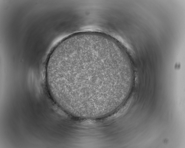 X0000102001358200808151437