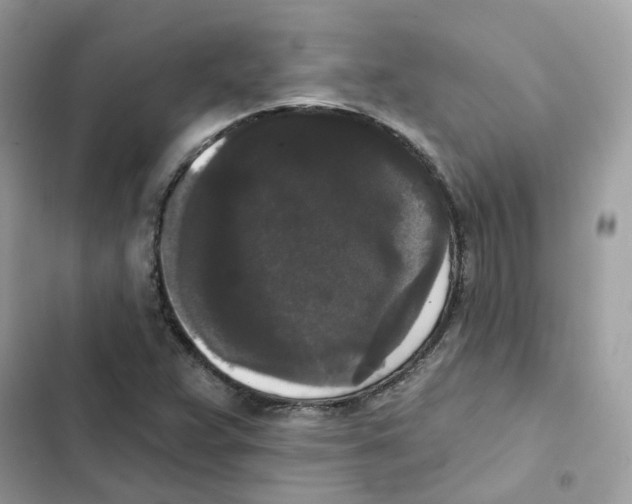 X0000102001359200808151437