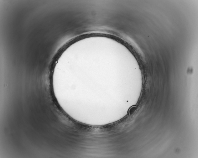 X0000102001360200808151437