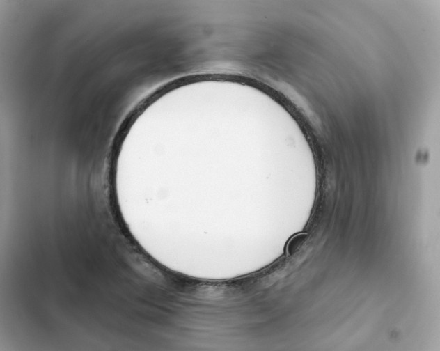 X0000102001364200808151437