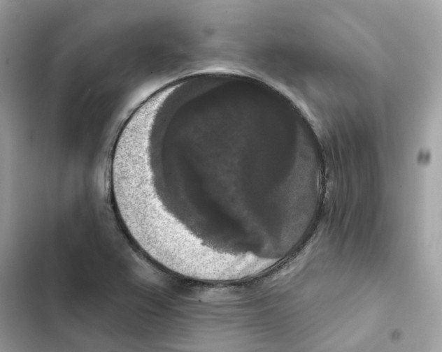 X0000102001367200808151437