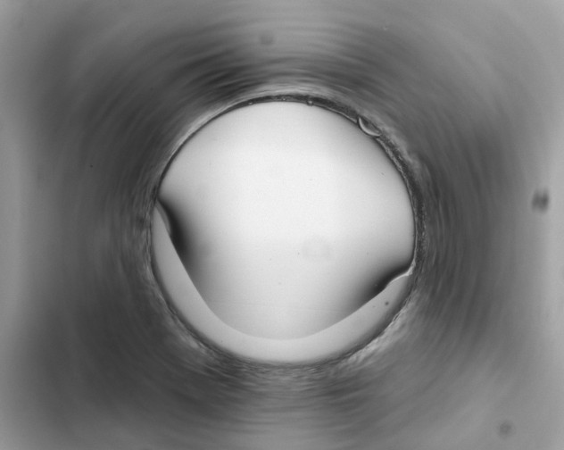 X0000102001369200808151437