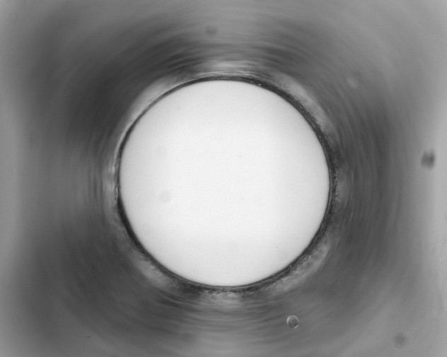 X0000102001370200808151437