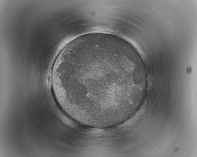 X0000102001371200808151437