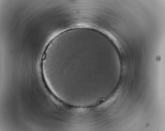 X0000102001373200808151437