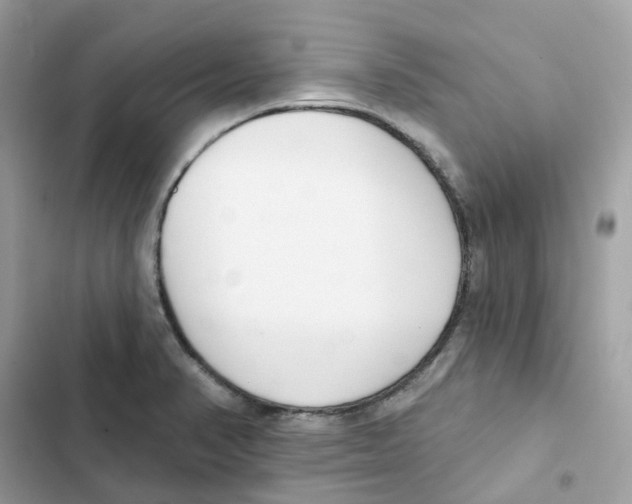 X0000102001374200808151437