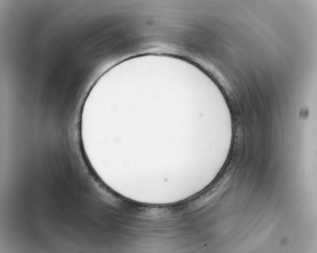 X0000102001375200808151437