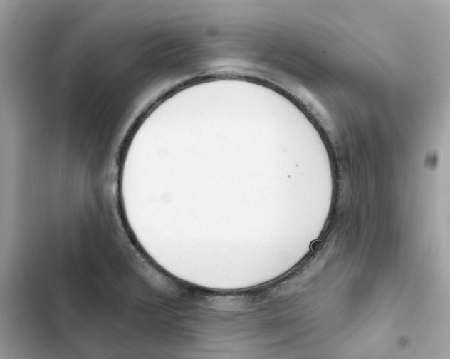 X0000102001376200808151437