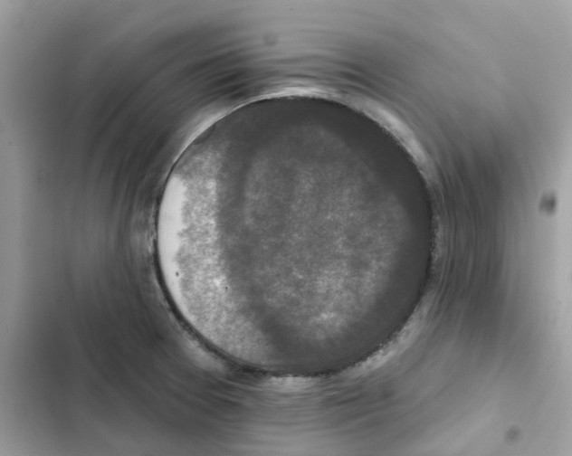 X0000102001377200808151437