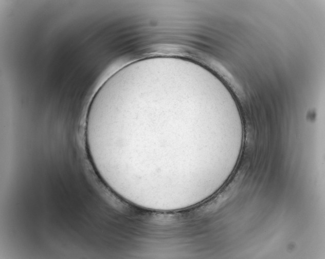 X0000102001378200808151437