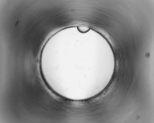 X0000102001379200808151437