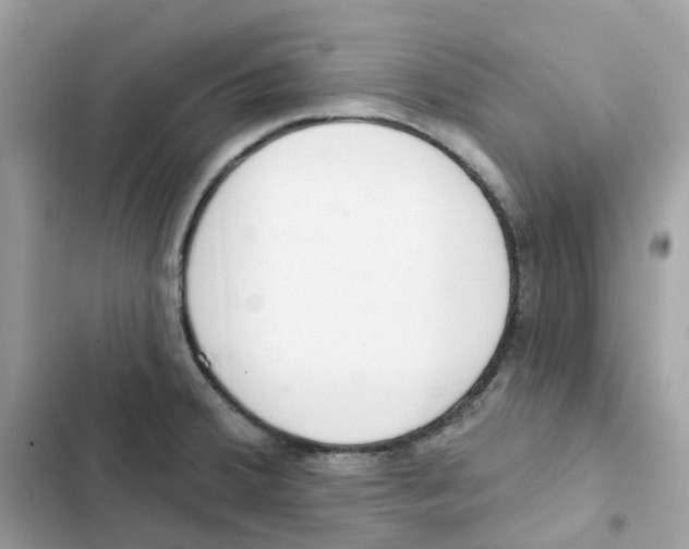 X0000102001380200808151437