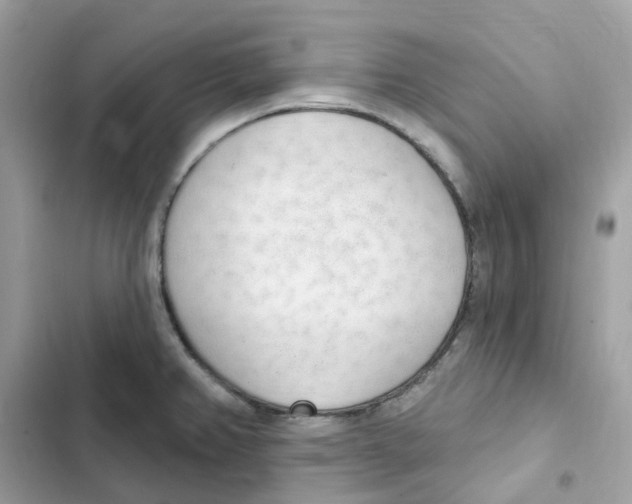 X0000102001382200808151437