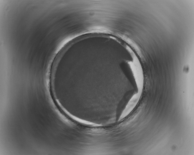 X0000102001383200808151437