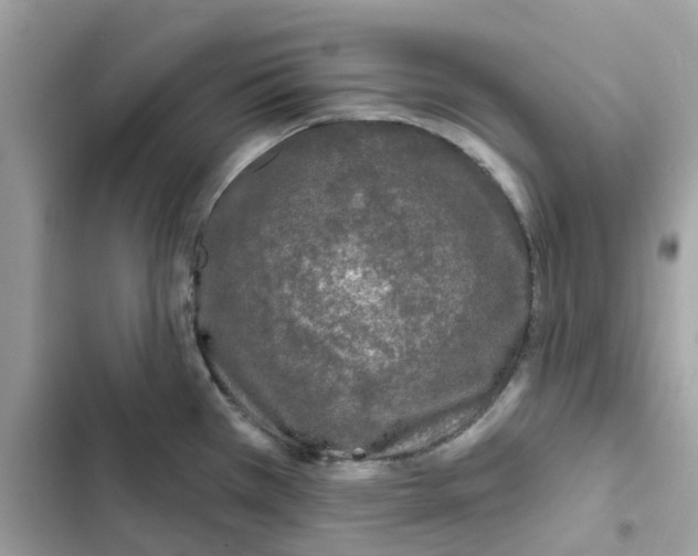 X0000102001385200808151437