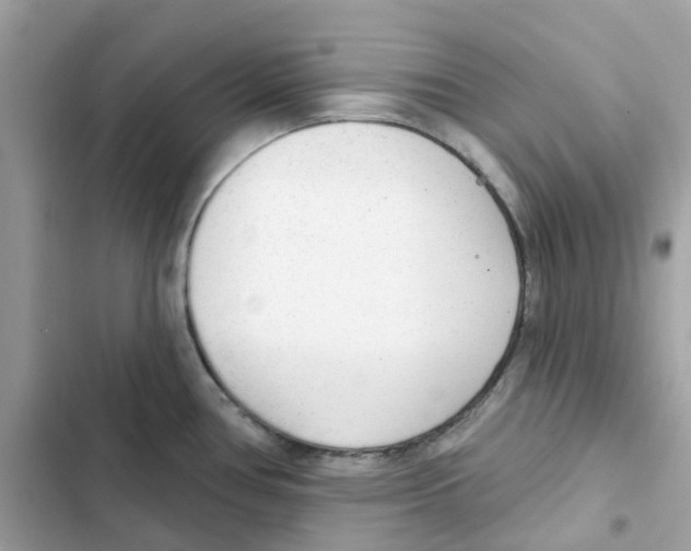 X0000102001386200808151437