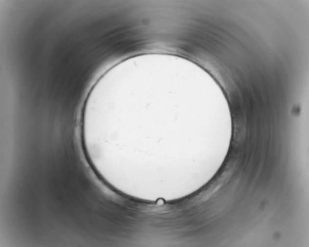 X0000102001387200808151437