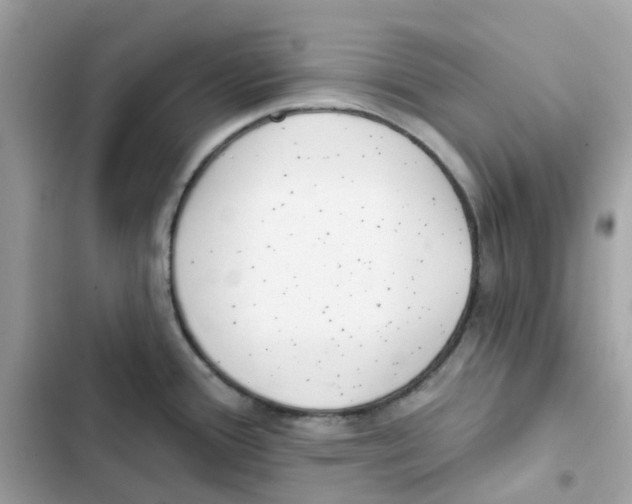 X0000102001388200808151437