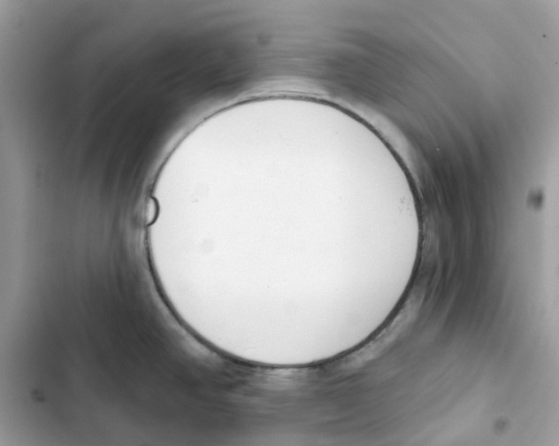 X0000102001390200808151437