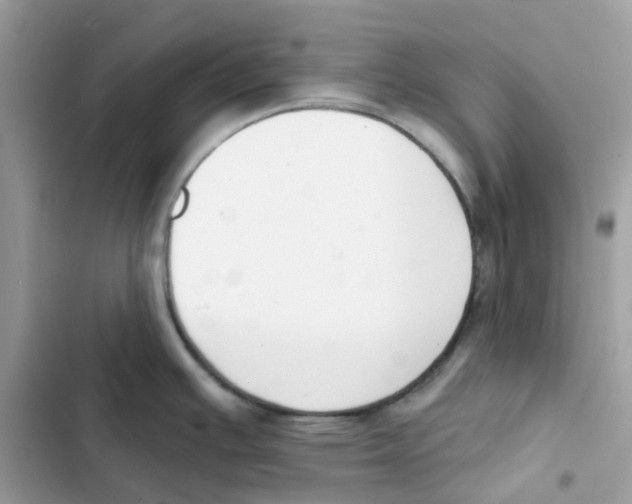 X0000102001391200808151437