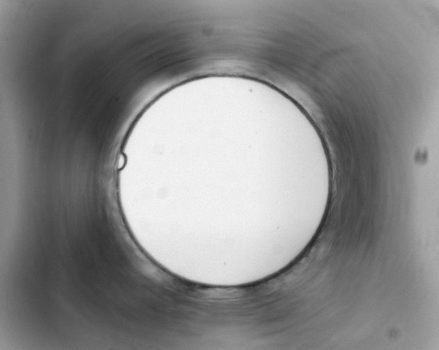 X0000102001392200808151437