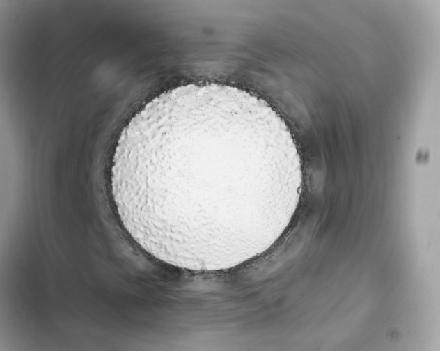 X0000102001393200808151436