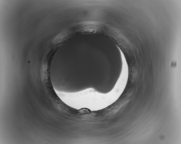 X0000102001394200808151436