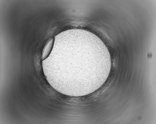 X0000102001396200808151436