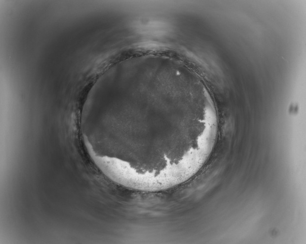 X0000102001397200808151436