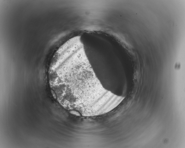 X0000102001398200808151436