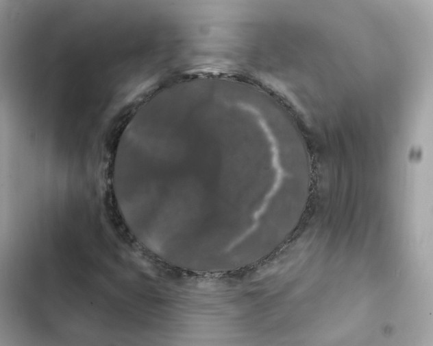 X0000102001399200808151436