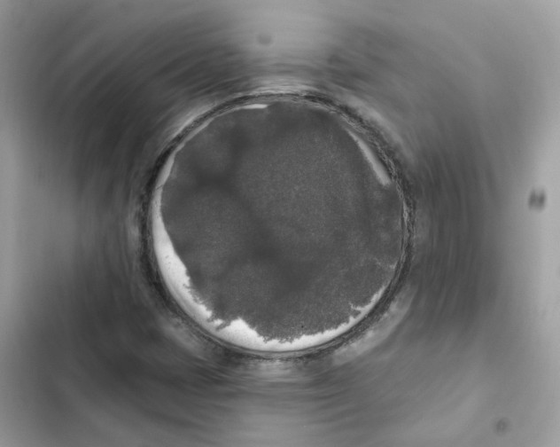 X0000102001401200808151436