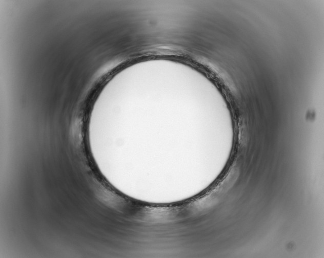 X0000102001402200808151436