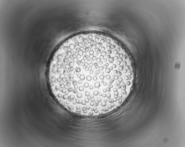 X0000102001404200808151436