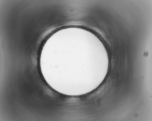 X0000102001406200808151436