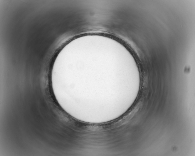 X0000102001407200808151436