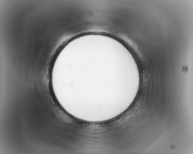 X0000102001408200808151436