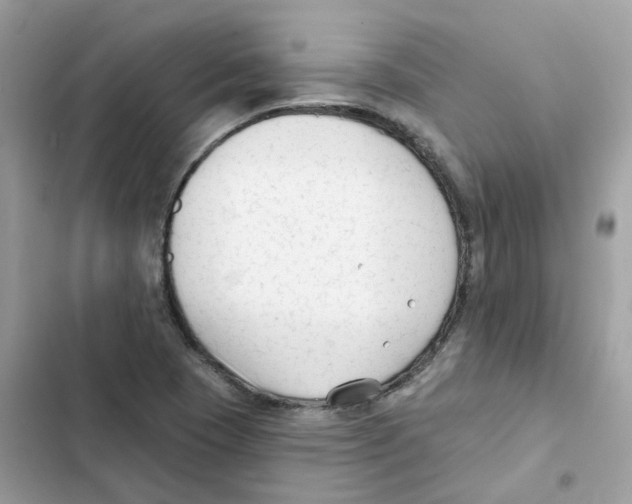 X0000102001409200808151436