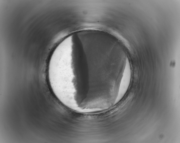 X0000102001411200808151436